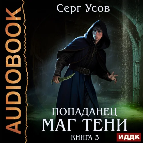 Маг Тени. Книга 3 торрент скачать