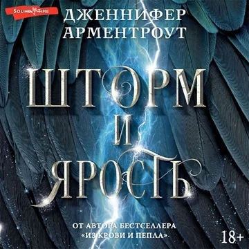Шторм и ярость торрент скачать